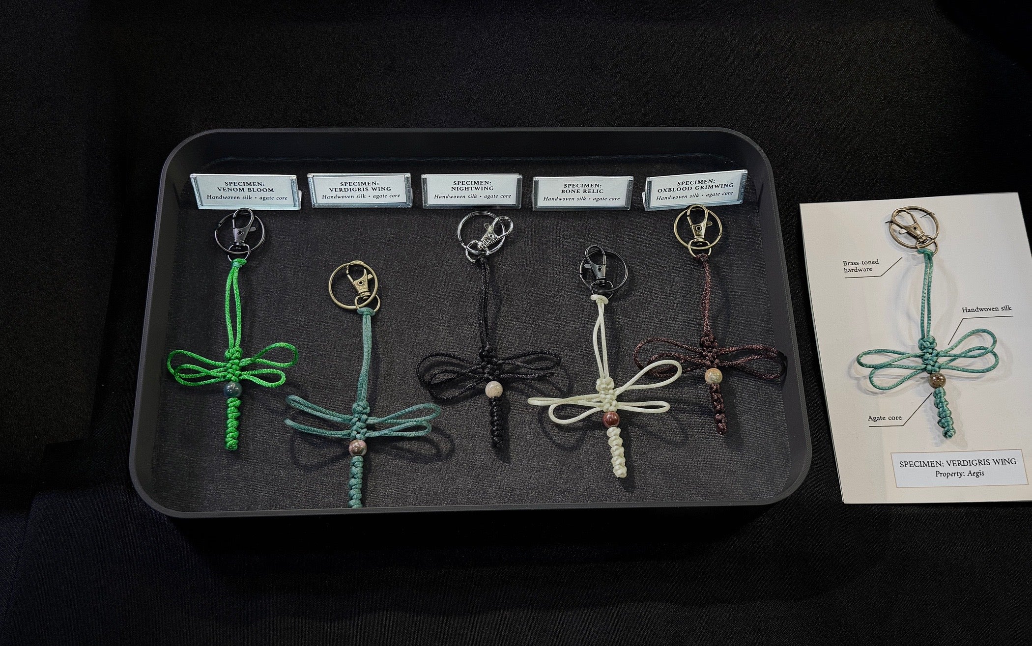 Limited collection of dragonfly specimen keychains on a tray with labels, displayed against a black velvet background.